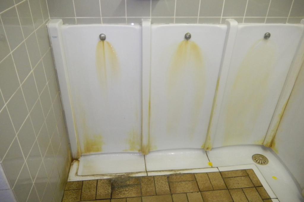 Beispiel für eine unappetitliche Toilette