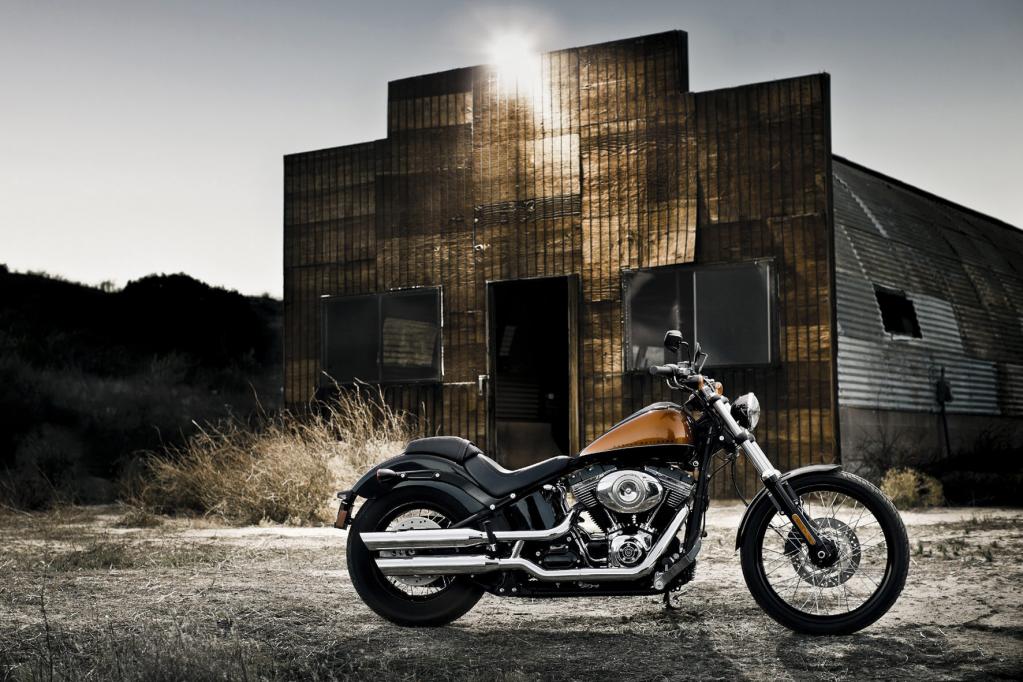 Harley-Davidson Softail Blackline: Chopper pur 