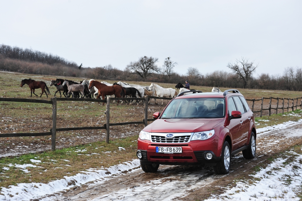 Der Subaru Forester Modelljahr 2011