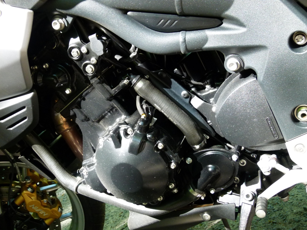 Fahrbericht Triumph Tiger 1050 SE ABS: Engländerin von Format