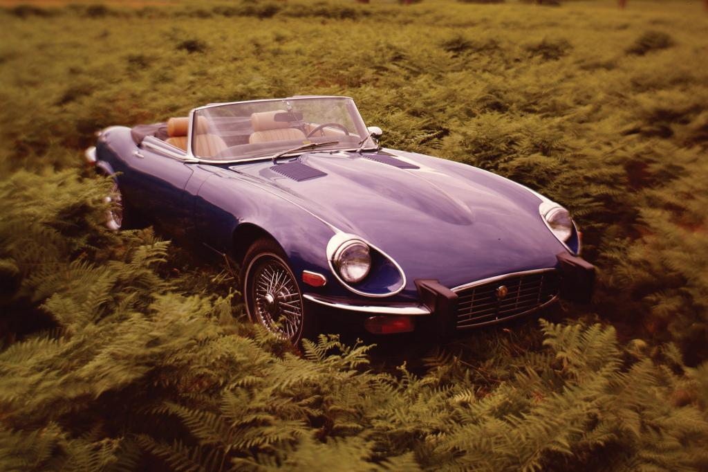 Der E-Type V12 Roadster von 1971