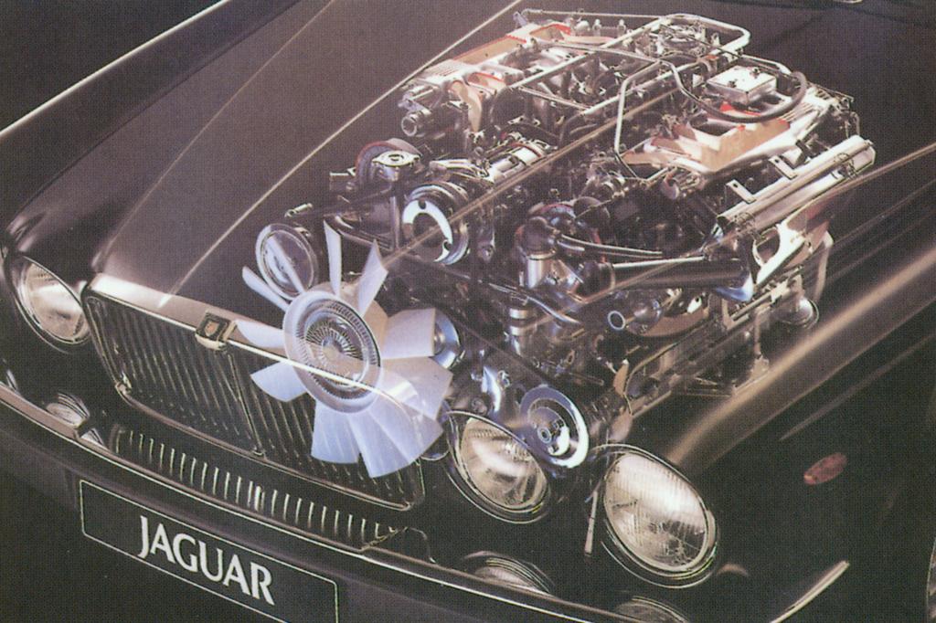 Der V12 füllt die Motorhaube fast komplett