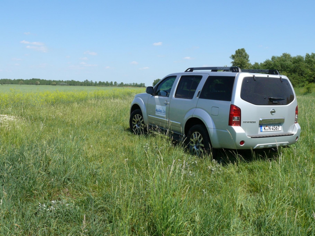 Fahrbericht Nissan Pathfinder LE 3,0 V6 dCI - Einer fürs Grobe