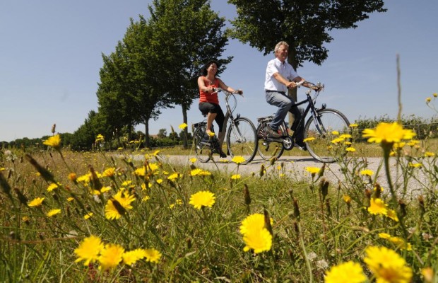 Recht: Radfahren trotz Alkohol am Steuer