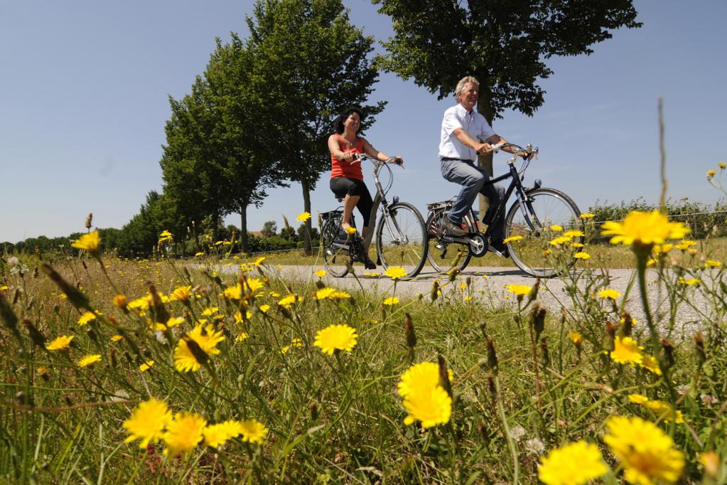 Recht: Radfahren trotz Alkohol am Steuer