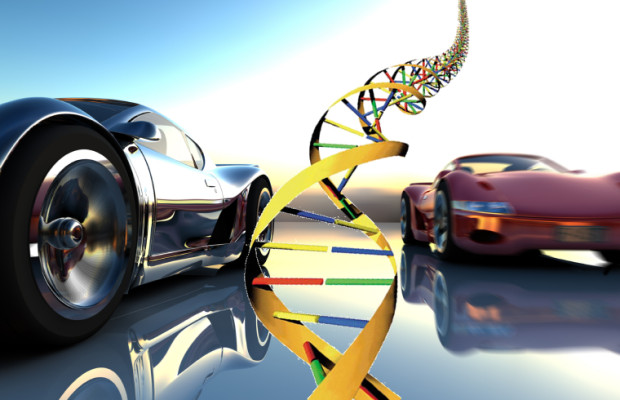 DNA des Autos entschlüsselt