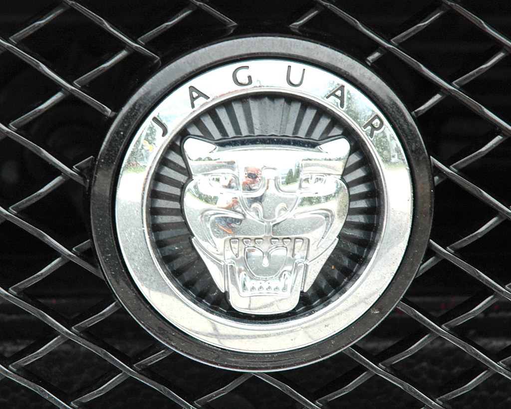 Jaguar XKR Cabrio: Das Raubkatzen-Markenlogo sitzt vorn mittig im Kühlergrill-Oval. 
