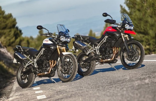 Triumph ruft Tiger zurück