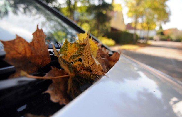 Trockenlegung fürs Auto