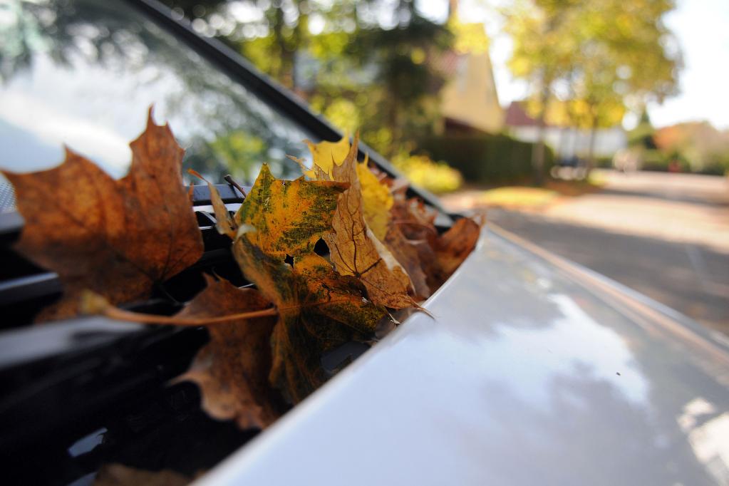 Trockenlegung fürs Auto