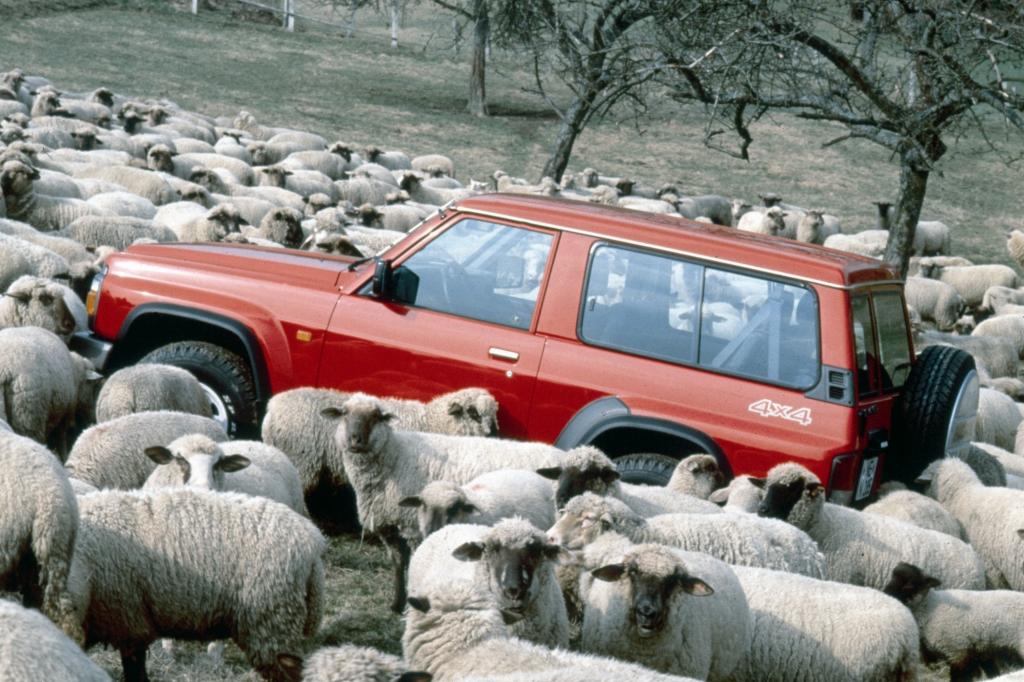 Unter Schafen: der Nissan Patrol GR