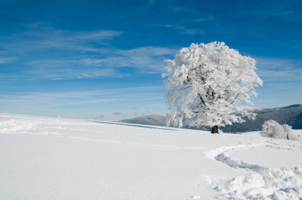 Weitere Wintersperren für Alpenpässe
