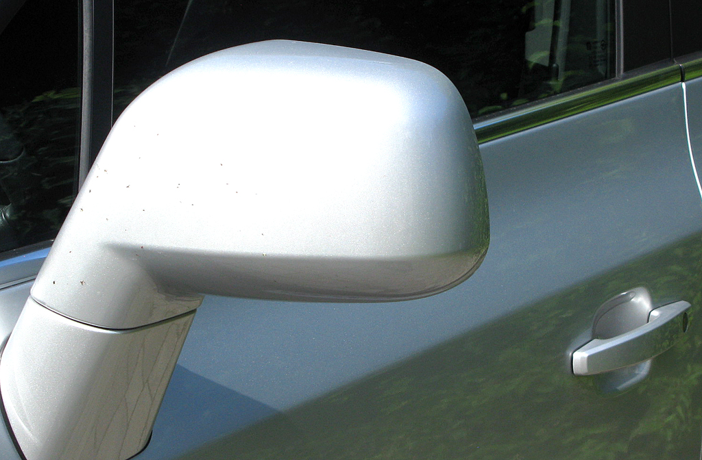 Chevrolet Orlando: Blick auf den Außenspiegel auf der Fahrerseite. 