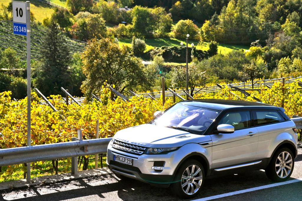 Der Weg führt auch an Weinbergen vorbei