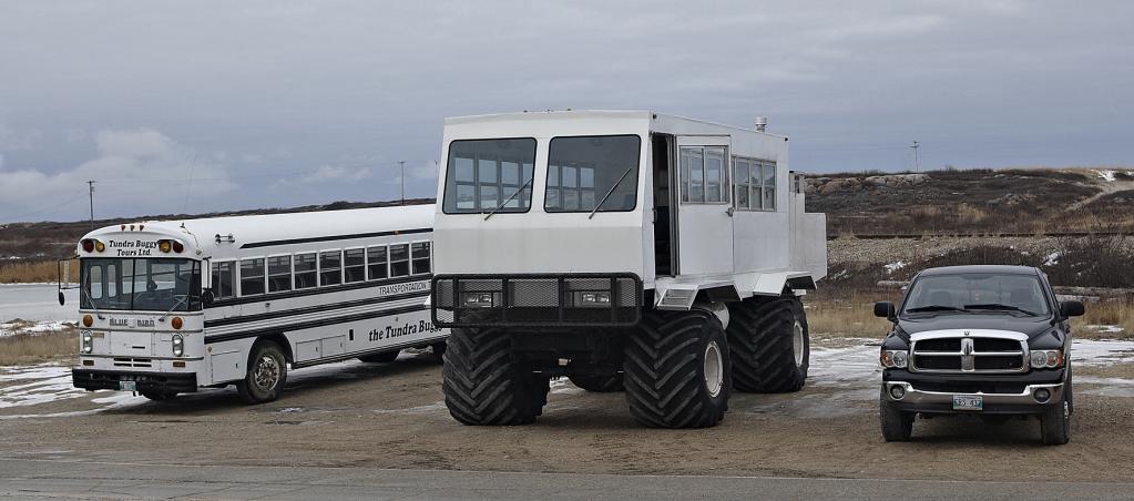 Die Bezeichnung Buggy lässt zunächst an ein kleines, leichtes Fahrzeug denken, doch das glatte Gegenteil ist der Fall. Auf den ersten Blick sieht der Tundra Buggy aus wie ein weißer Bungalow. 