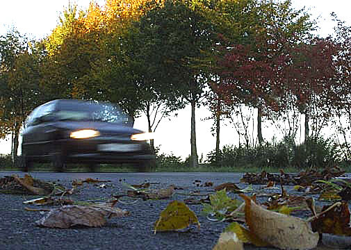 Schon im Herbst bei Laub auf den Straßen ist vorsichtigeres Fahren angesagt. 