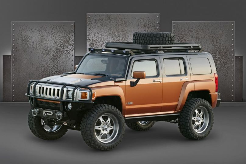 Auch von Hummer gibt es keine pauschalen Aussagen über die E10-Verträglichkeit. Die DAT verweist hier auf das Hummer Customer Assistance Center, erreichbar unter 00800 - 86 80 88 00 (Bei Anrufen aus Mobilfunknetzen können Gebühren anfallen).