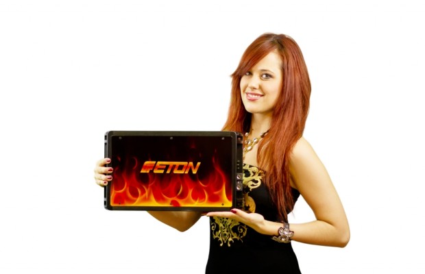 Charity-Aktion: Eton Designer-Endstufe auf ebay
