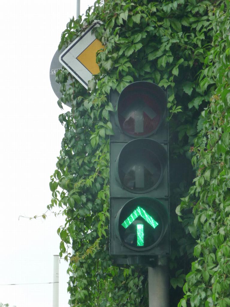 Pilotprojekt für Grüne Welle auf der Landstraße