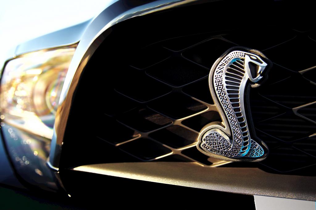 50 Jahre Shelby Cobra: Der Schlangenbändiger