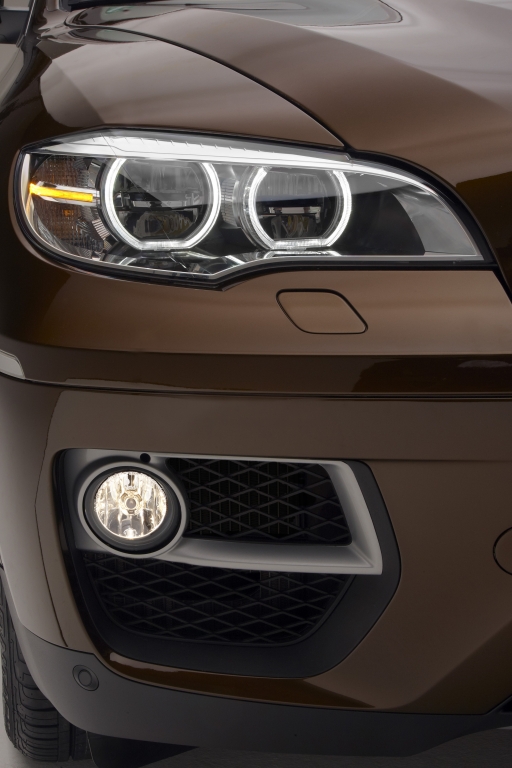 BMW X6 - Geschönter Brocken