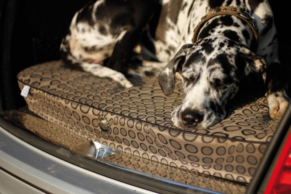 Kissen für den Hund - jetzt auch ergonomisch
