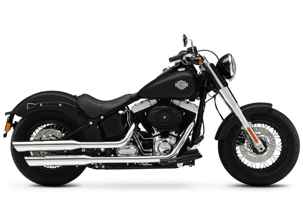 Das Custombike kostet 18.795 Euro
