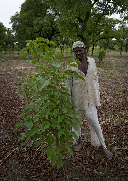 Kia unterstützt Projekt in Afrika mit 1,5 Millionen Euro