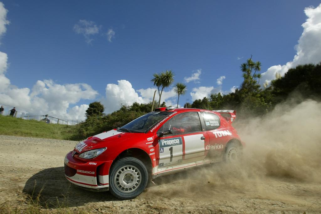 Peugeot 206 Rallye WM 2003 