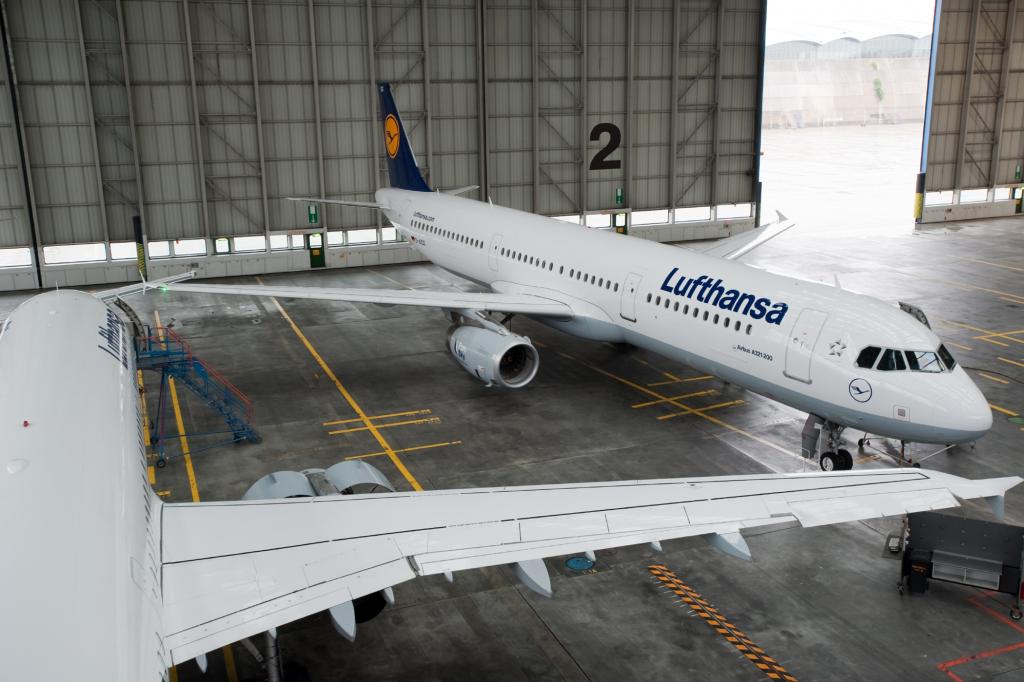 Flugzeug-Treibstoffe - Es geht auch Bio