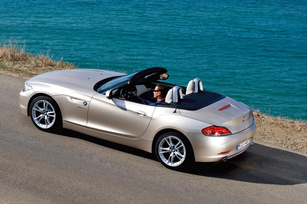 Gesunder Spaßvogel