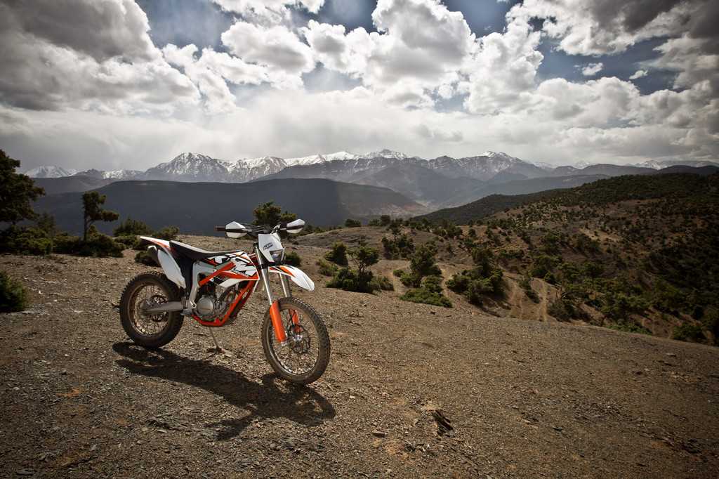 KTM Freeride 350 kostet 7398 Euro