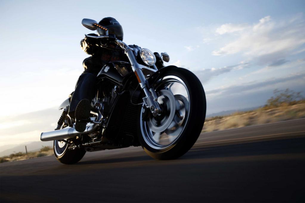 Fahrbericht Harley-Davidson VRSCF V-Rod Muscle: Keine Kompromisse