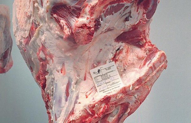 1 600 Kilometer Autofahrt: So klimaschädlich wie ein kleines Steak
