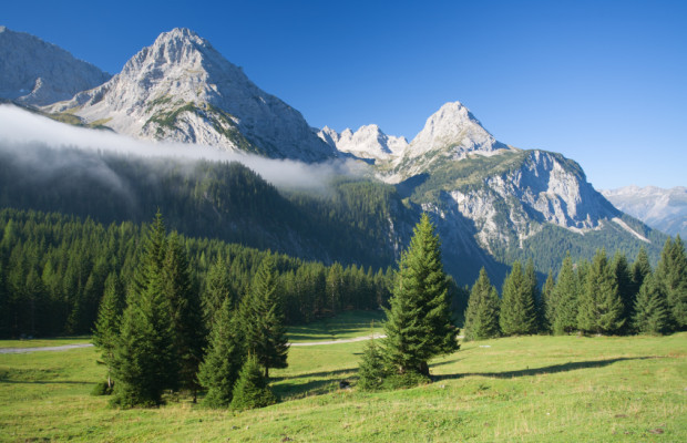 Österreich friert Kraftstoffpreise ein