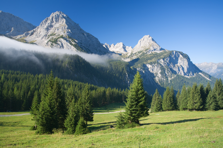 Österreich friert Kraftstoffpreise ein