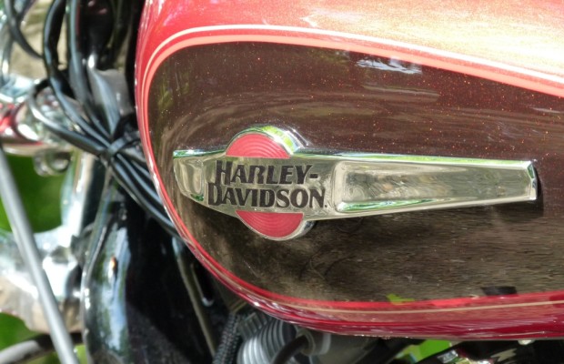 Tsunami: Vermisste Harley in Kanada entdeckt