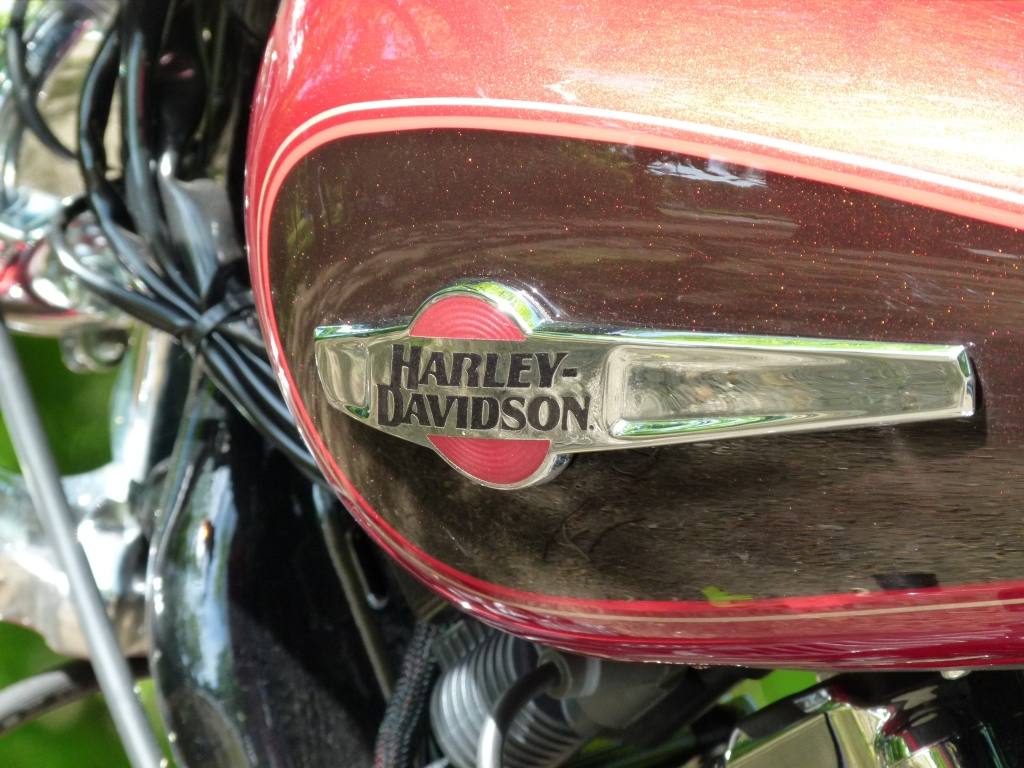 Tsunami: Vermisste Harley in Kanada entdeckt