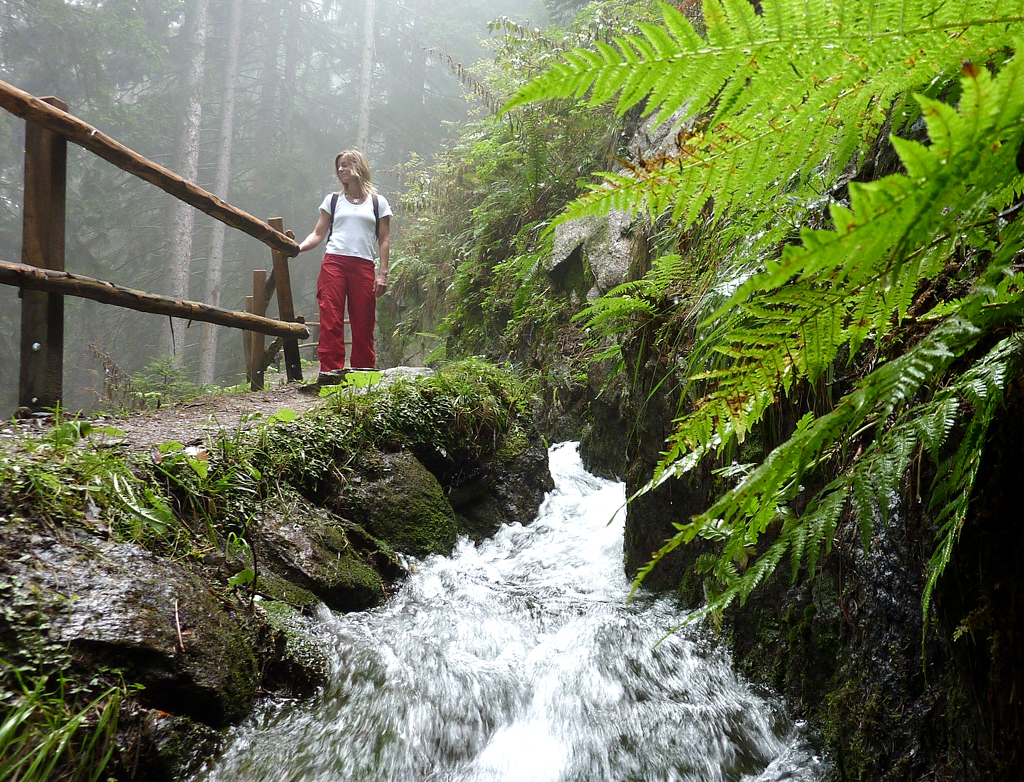 Auf dem Schenner Waalweg im romantischen Bergwald. 