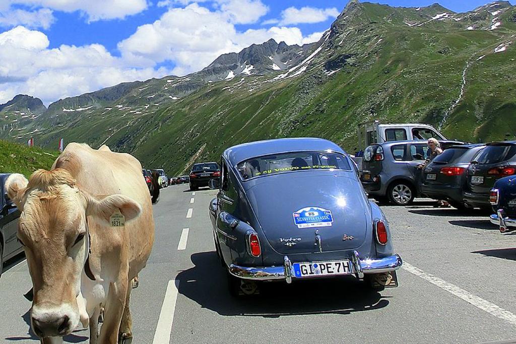 Der Volvo P544 in den Bergen