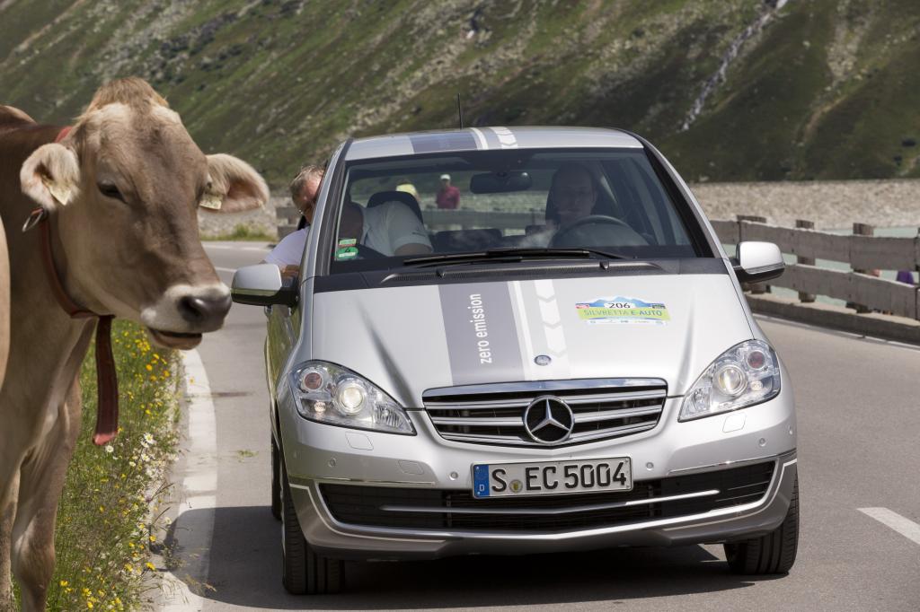 E-Antrieb freut auch die Kühe