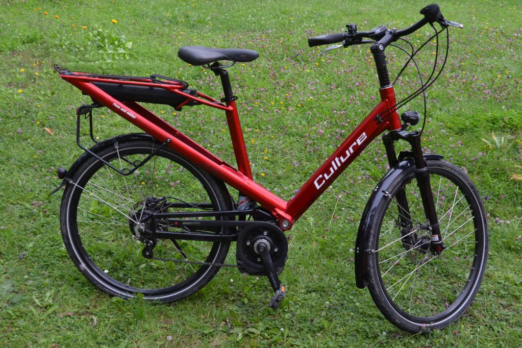 Pedelecs: Acht Gänge reichen aus