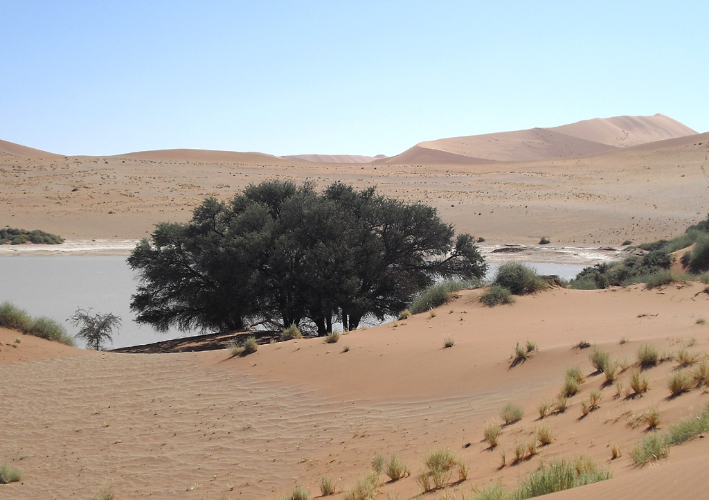 Ein Yeti in Afrika (II): Das Land der Dünen - mit Skodas Kompakt-SUV durch Namibia