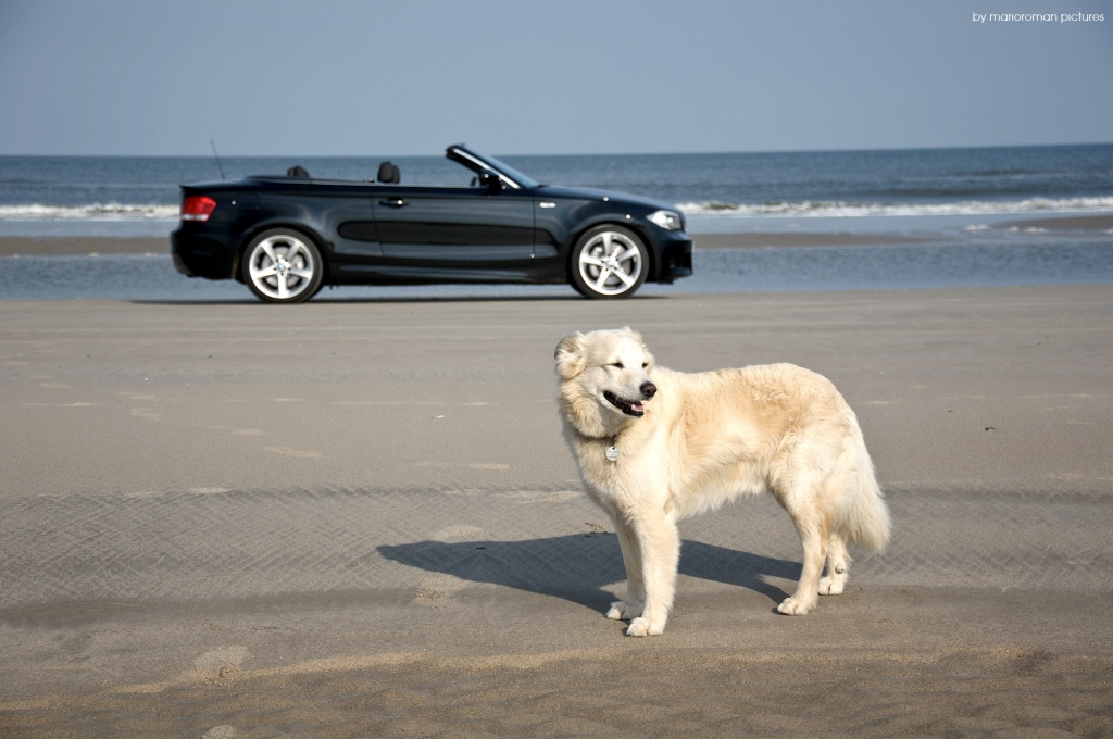 Ein echter Klassiker - Fahrbericht BMW 135i Cabriolet