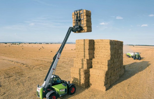 Fast ein Prozent Ackerfläche für Bioethanol