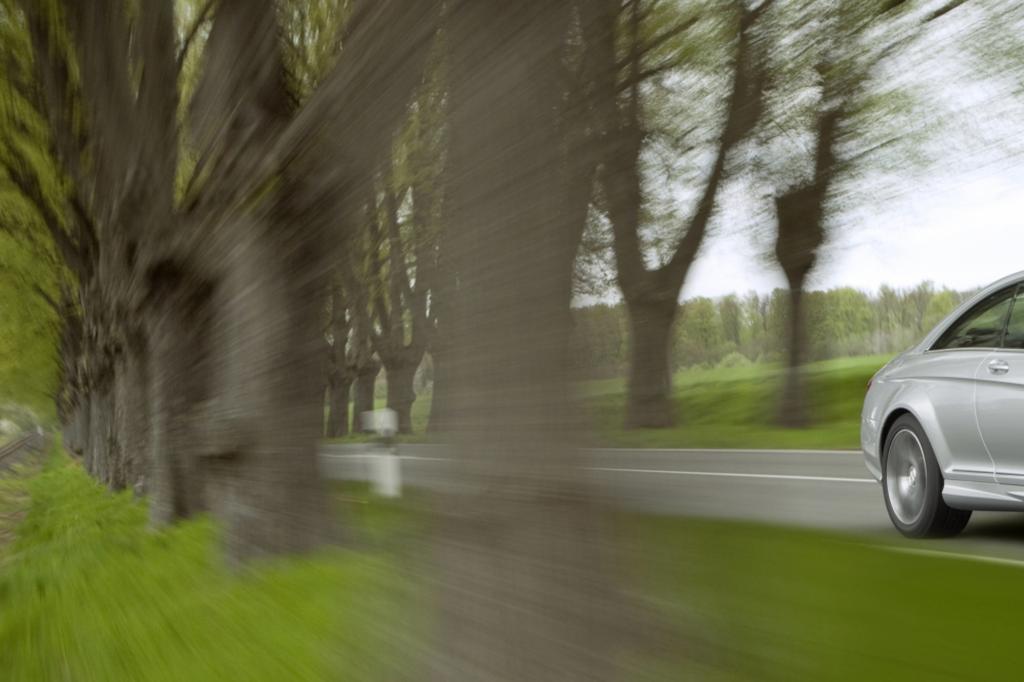 Luftverschmutzung - Mehr Grün gegen Schadstoffe