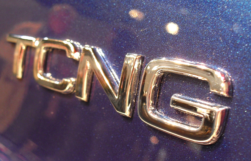 Die Abkürzung TCNG steht für Turbo und Compressed Natural Gas, also Erdgasantrieb. 