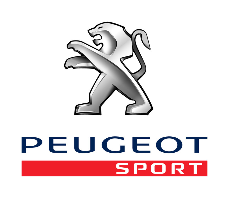Paris 2012: Debüt für den Peugeot 208 R5