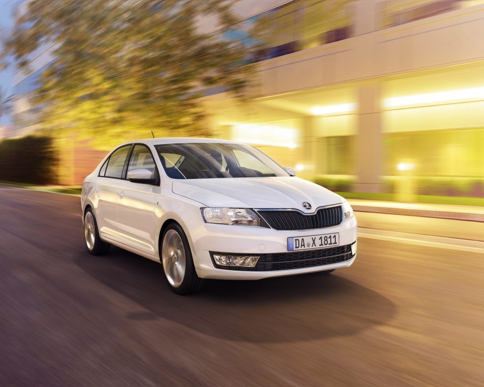 Cleveres Kerlchen von Skoda