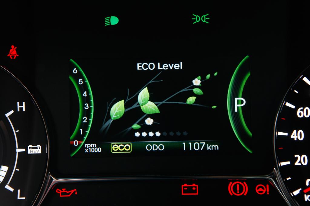 Die Pflanzen-Anzeige soll zu sparsamem Fahren animieren